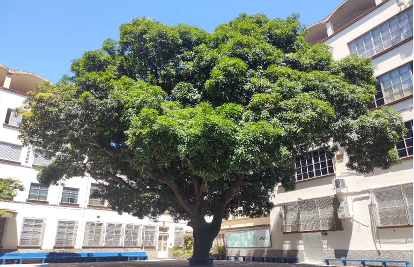 Imagem Mídia