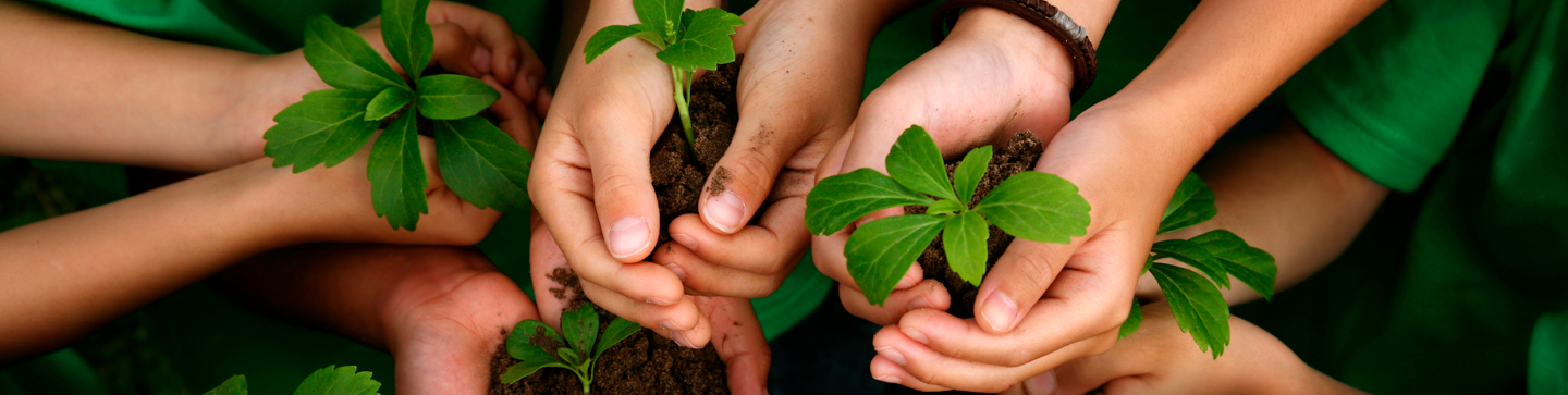 Banner do curso Ciências do Meio Ambiente