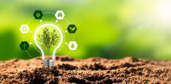 Dia Mundial do Meio Ambiente