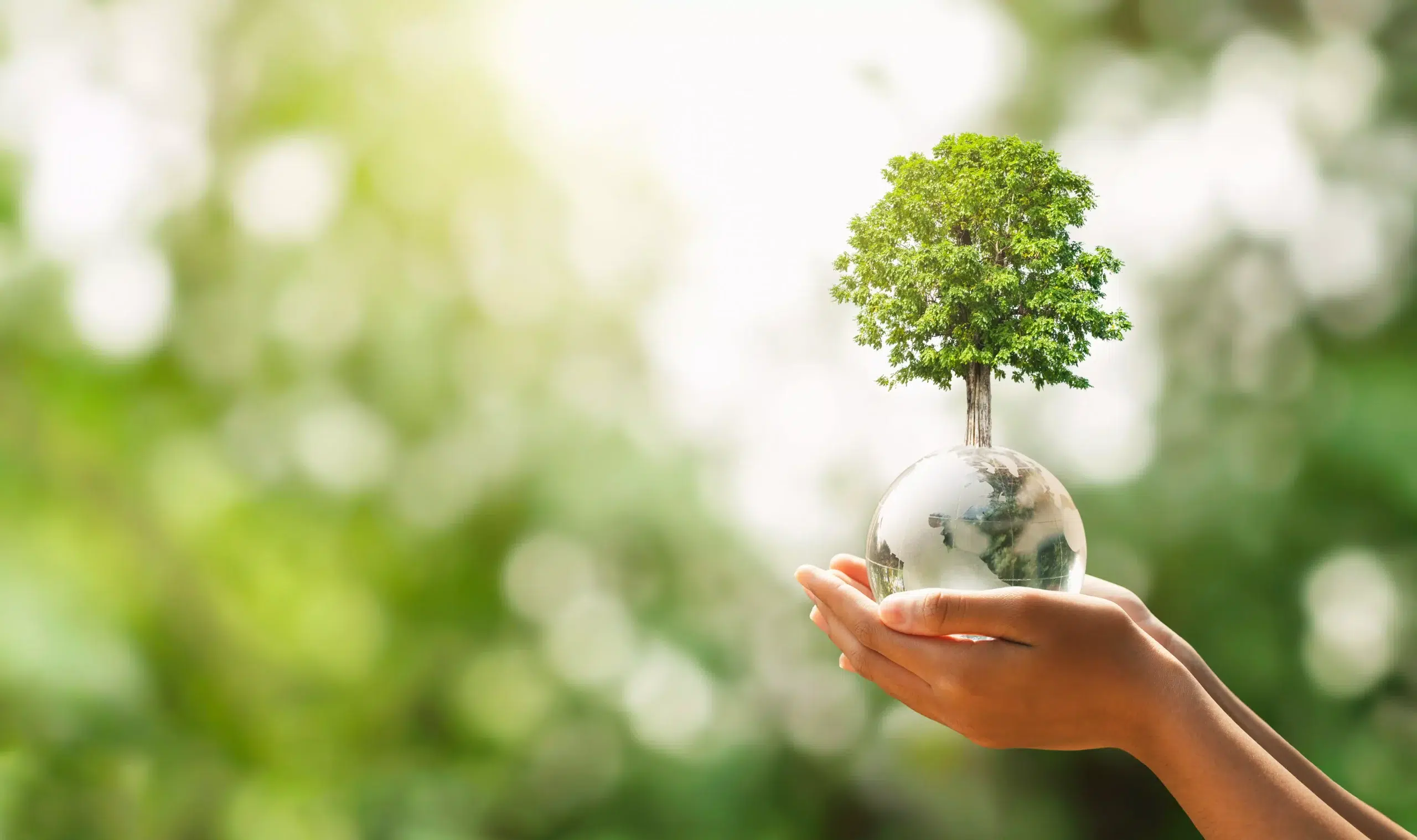 Biomassa como Fonte de Energia – Inovações, Desafios e Experiências no Rio de Janeiro e no Brasil