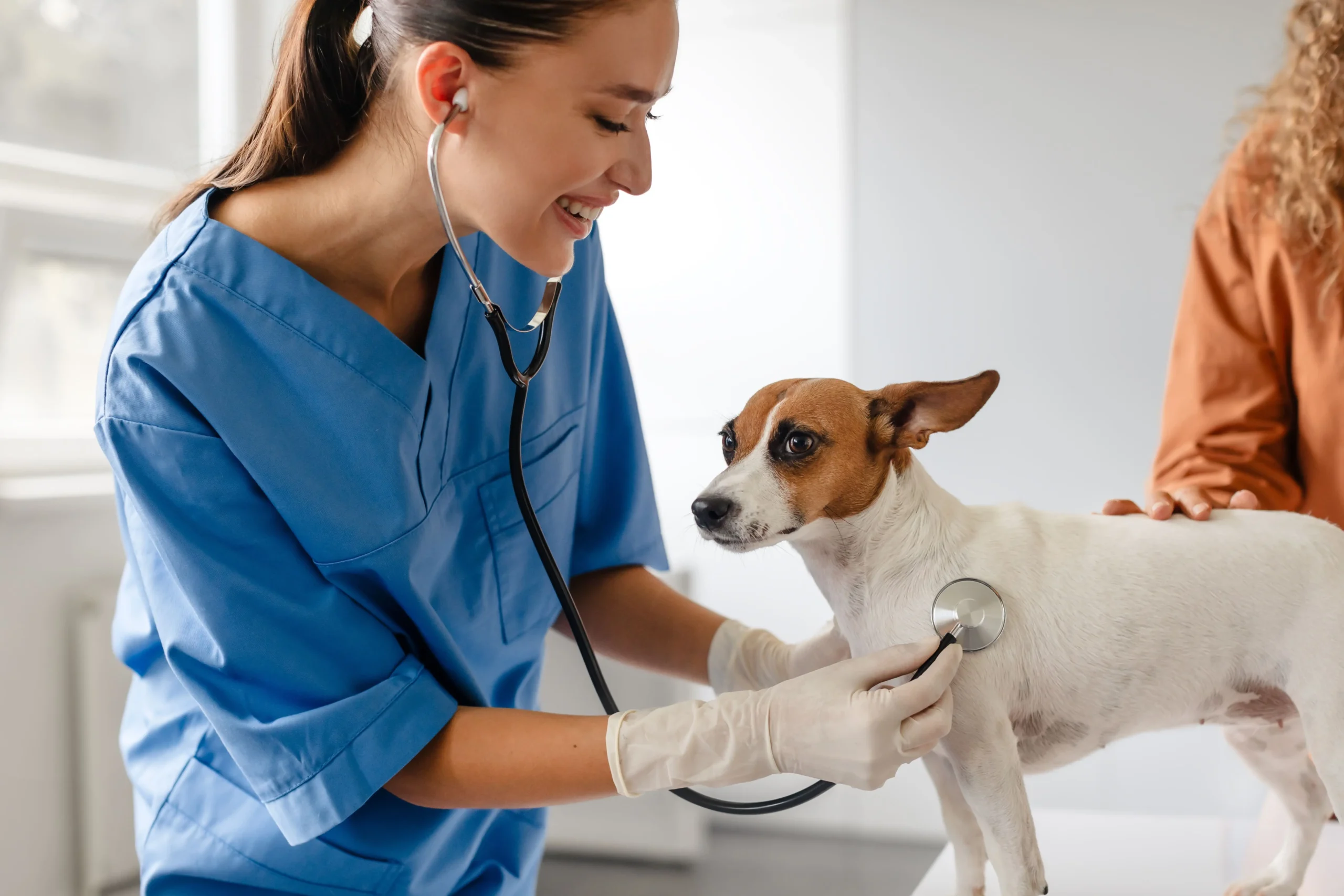 Curso de Verão: Fundamentos da Fisiologia Animal