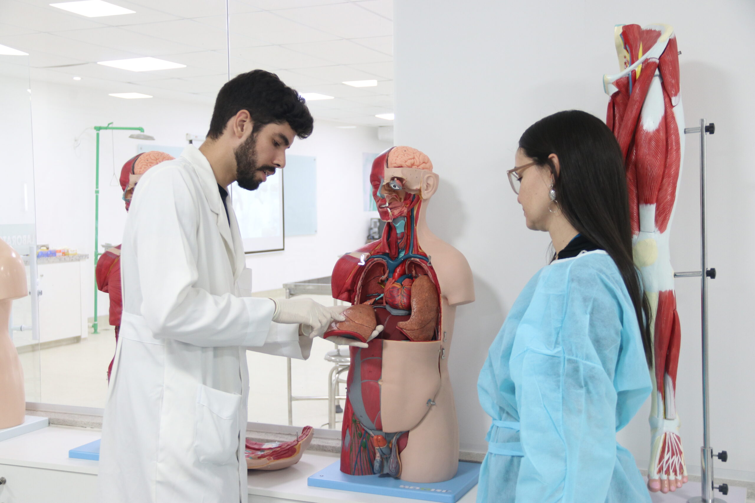 Anatomia