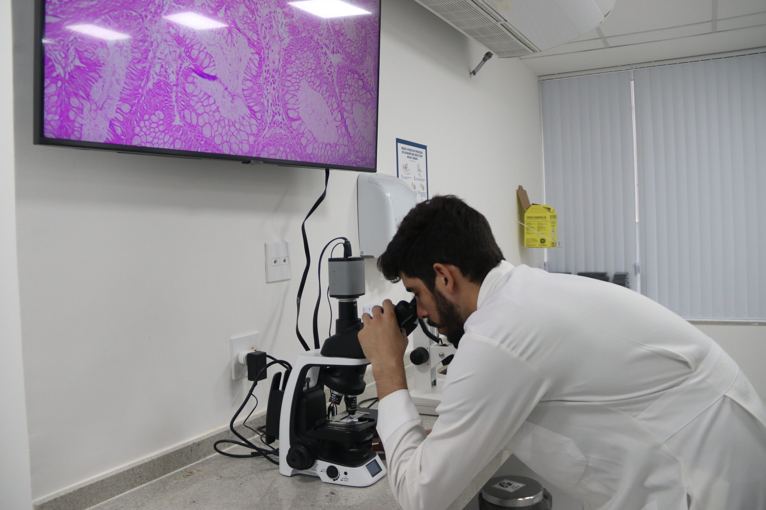 Microscopia
