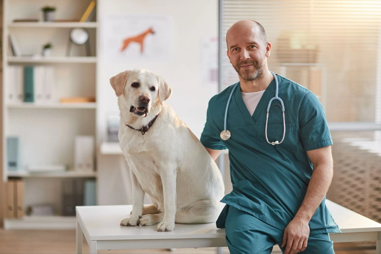 Semana Acadêmica de Medicina Veterinária
