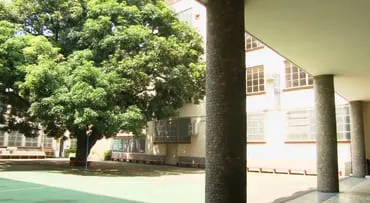 Imagem Aluno